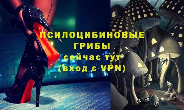 мдпв Абинск