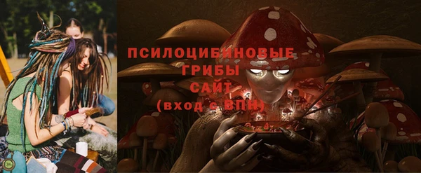 apvp Алексеевка