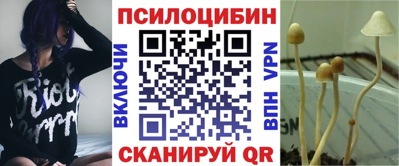 дарнет шоп  Полтавская  Галлюциногенные грибы Cubensis 